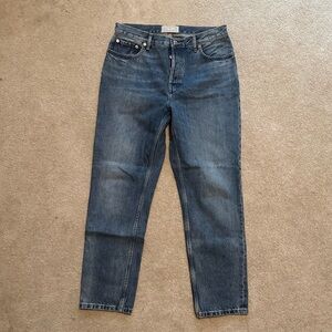 Everlane The 90’s Cheeky Jean Organic Cotton Medium Wash Size 29